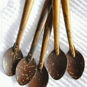 Coconut Shell Spoon Set