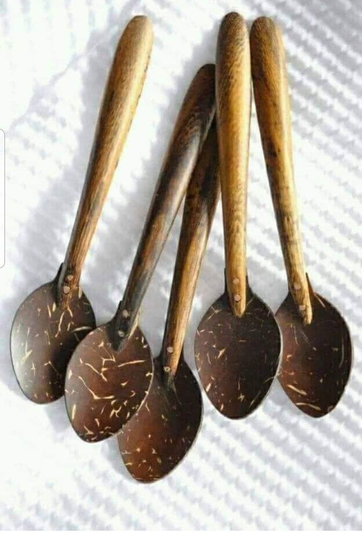 Coconut Shell Spoon Set